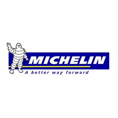 Catene da neve Michelin Michelin Easy Grip Evo 9
